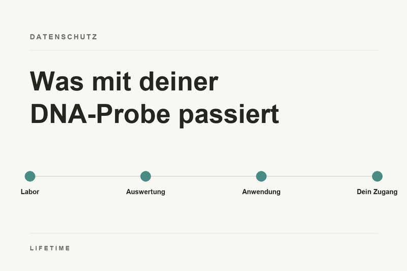 Titelbild: Was mit deiner DNA-Probe passiert. Stationen Labor, Auswertung, Anwendung und dein Zugang.