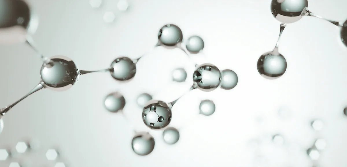 Die Biologie des Alterns - LIFETIME Longevity & Health
