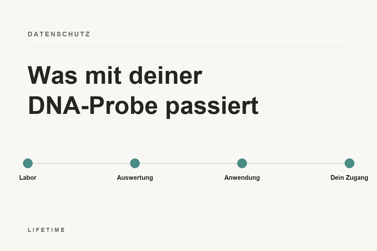 Titelbild: Was mit deiner DNA-Probe passiert. Stationen Labor, Auswertung, Anwendung und dein Zugang.