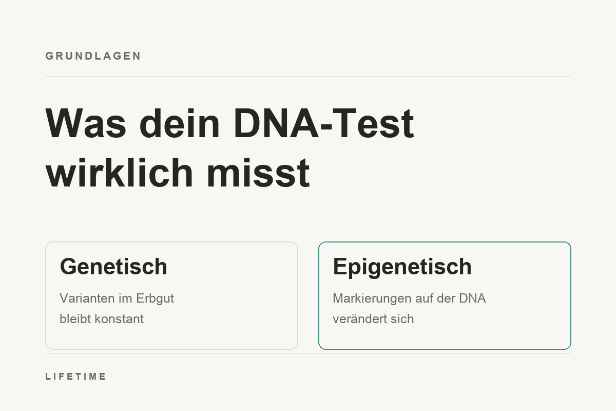 Titelbild: zwei Ebenen nebeneinander. Links die genetische Ebene mit Varianten im Erbgut, konstant. Rechts die epigenetische Ebene mit Markierungen auf der DNA, veränderlich.