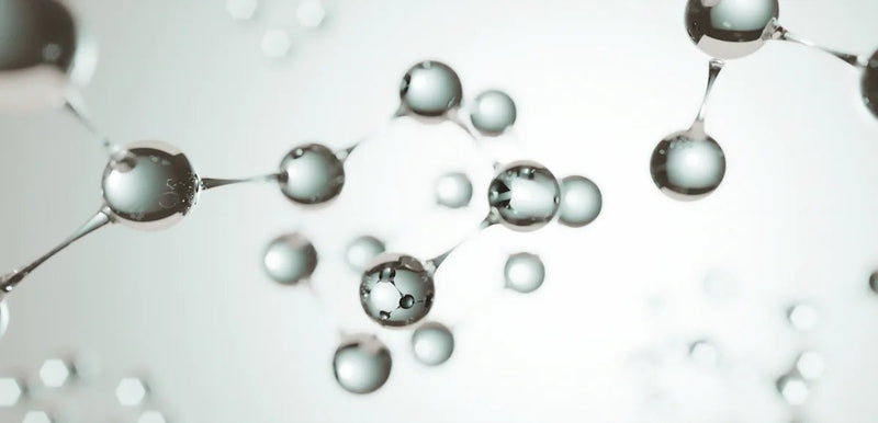 Die Biologie des Alterns  - LIFETIME Longevity & Health