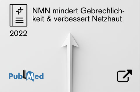 Zur Studie