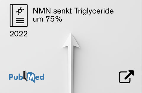 Zur Studie