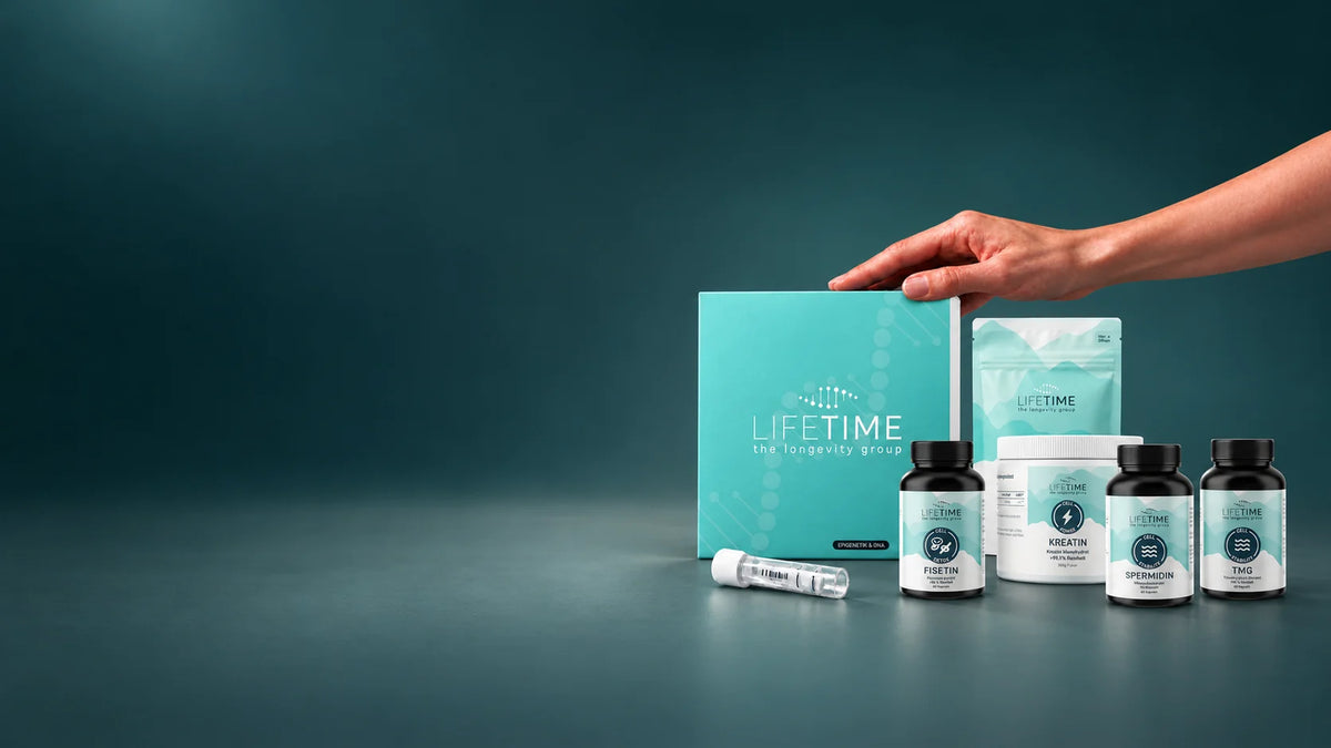 LIFETIME Produktkollektion: AGE & DNA-Test mit Probenröhrchen, Fisetin, Kreatin, Spermidin und TMG, eine Hand liegt auf der Testbox