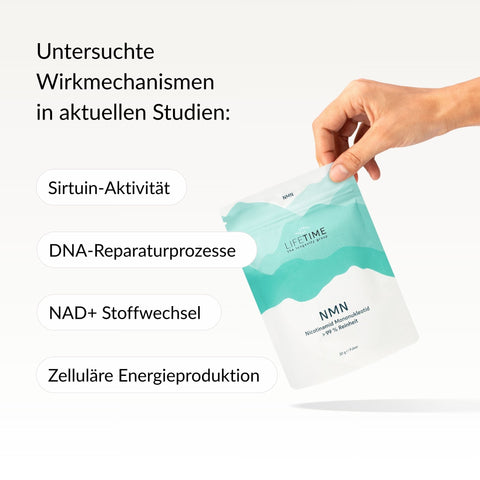 NMN Pulver
