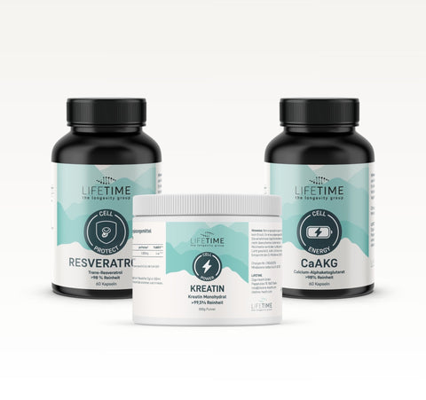 Sport & Regeneration System