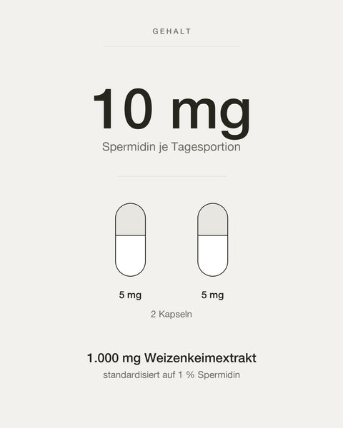 10 mg Spermidin je Tagesportion aus zwei Kapseln zu je 5 mg