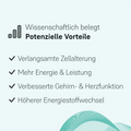 NMN-Ergänzung | LIFETIME NMN Pulver | LIFETIME Longevity & Health