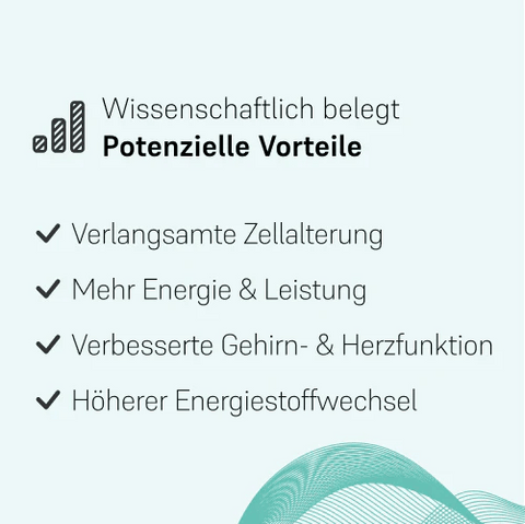 NMN-Ergänzung | LIFETIME NMN Pulver | LIFETIME Longevity & Health
