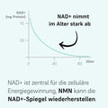 NMN-Ergänzung | LIFETIME NMN Pulver | LIFETIME Longevity & Health
