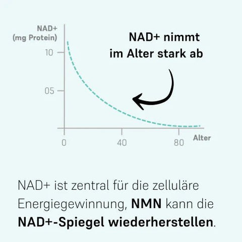 NMN-Ergänzung | LIFETIME NMN Pulver | LIFETIME Longevity & Health