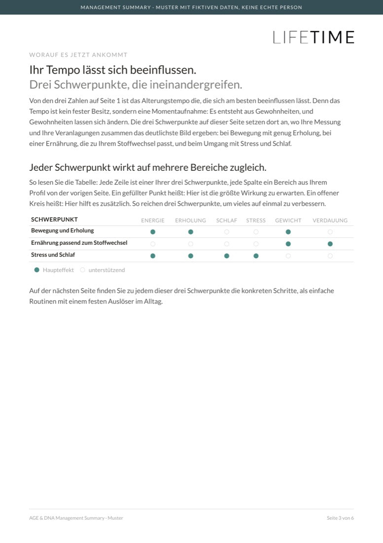 Muster der Management Summary mit fiktiven Daten, Seite 3: drei Schwerpunkte und was sie bewirken